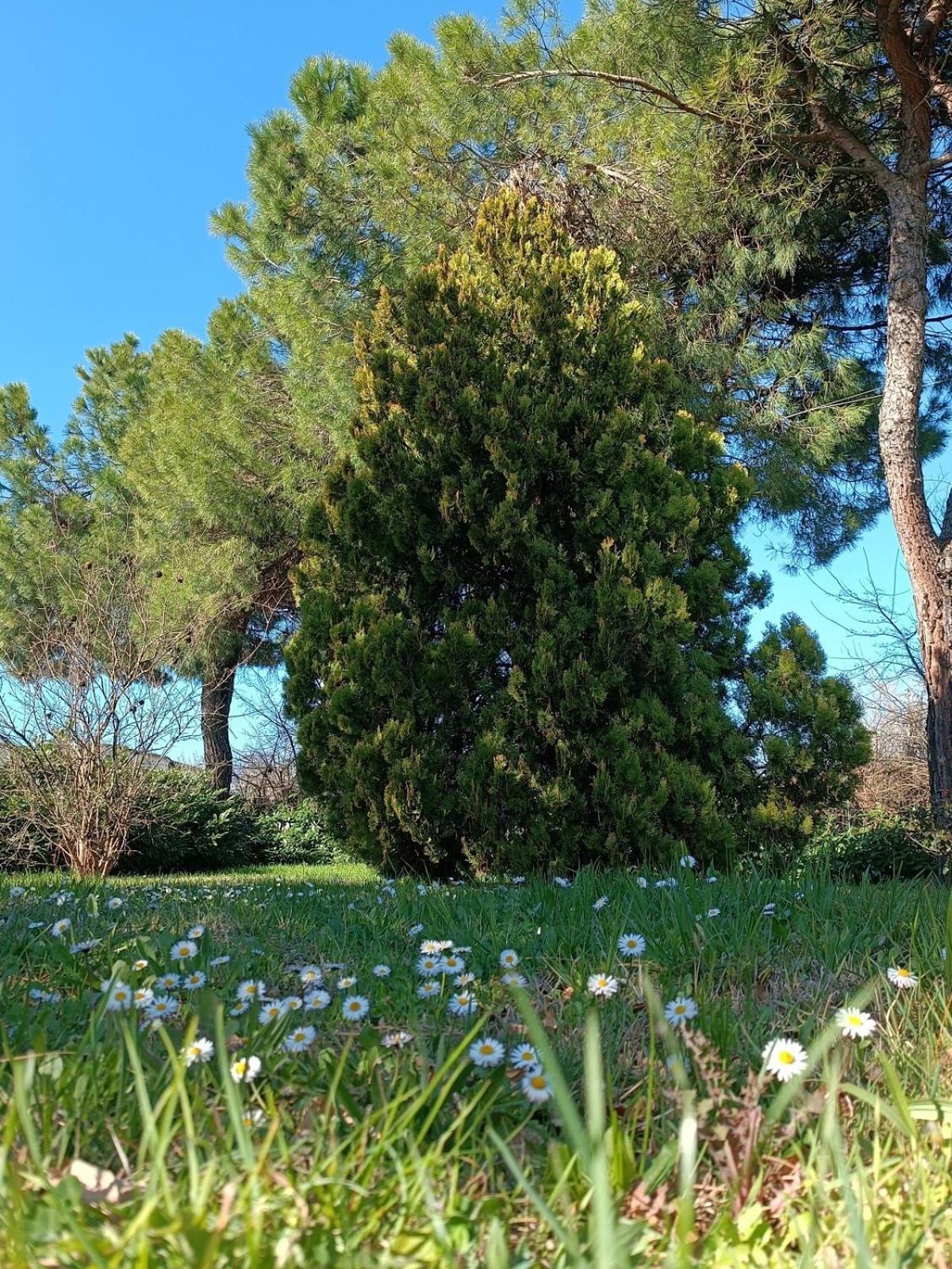 Вилла Capricornio Club Diffuso Casa Carlotta Santa Maria della Versa Экстерьер фото
